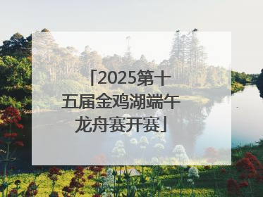 2025第十五届金鸡湖端午龙舟赛开赛