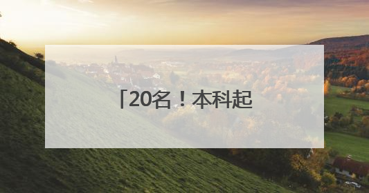 20名！本科起报！龙门石窟招聘讲解员啦！