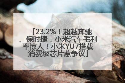 23.2%！超越奔驰、保时捷，小米汽车毛利率惊人！小米YU7搭载消费级芯片惹争议