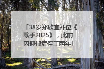 38岁郑欣宜补位《歌手2025》，此前因抑郁症停工两年