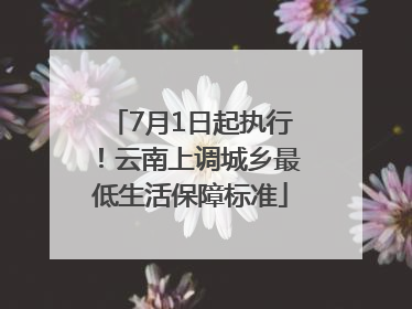 7月1日起执行！云南上调城乡最低生活保障标准