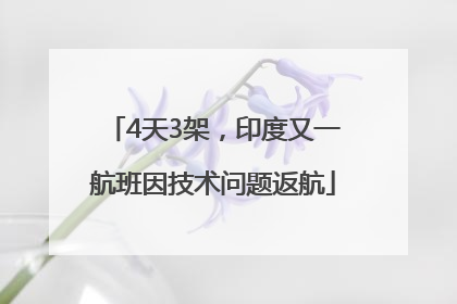4天3架，印度又一航班因技术问题返航