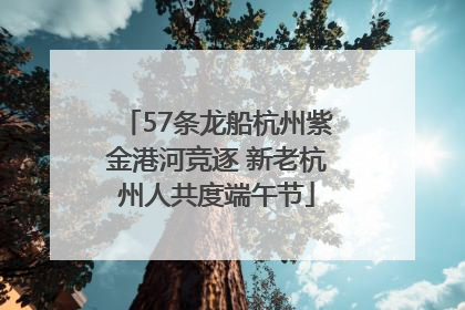 57条龙船杭州紫金港河竞逐 新老杭州人共度端午节