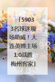 59033名球迷现场助威!大连英博主场1:0战胜梅州客家