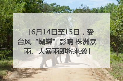 6月14日至15日，受台风“蝴蝶”影响 株洲暴雨、大暴雨即将来袭