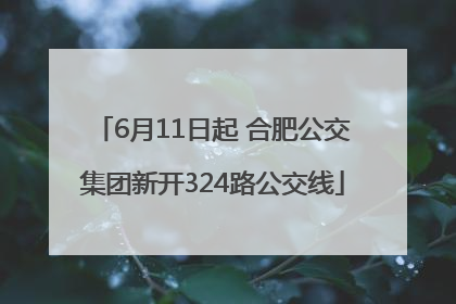6月11日起 合肥公交集团新开324路公交线
