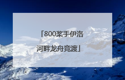 800桨手伊洛河畔龙舟竞渡