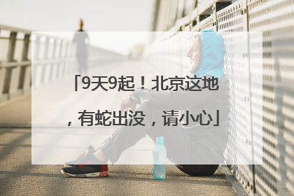 9天9起！北京这地，有蛇出没，请小心