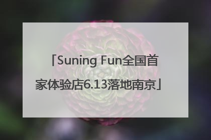 Suning Fun全国首家体验店6.13落地南京