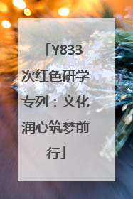 Y833次红色研学专列：文化润心筑梦前行